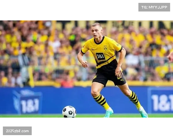 霍芬海姆vs多特蒙德，客队客场取胜保持争冠希望